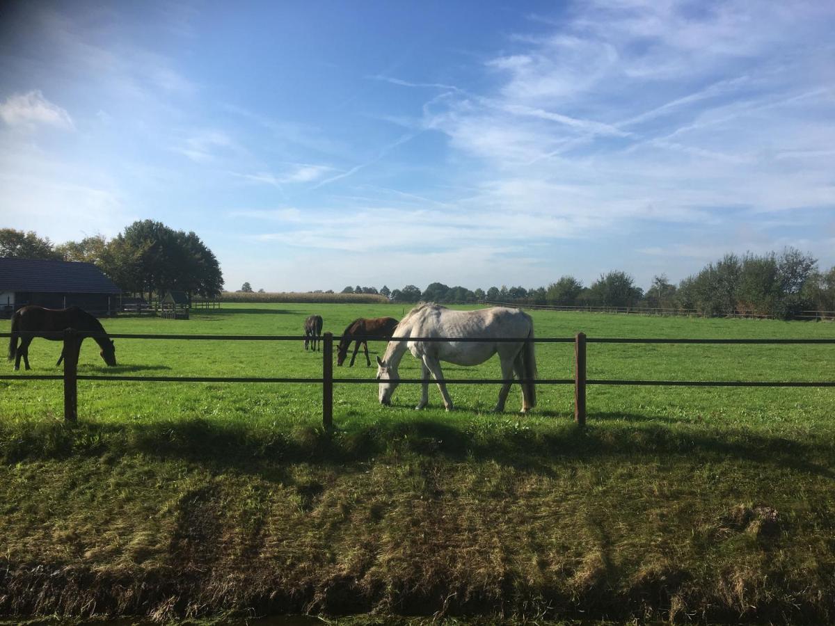 Houten Villa Tine Den Ham Exteriér fotografie